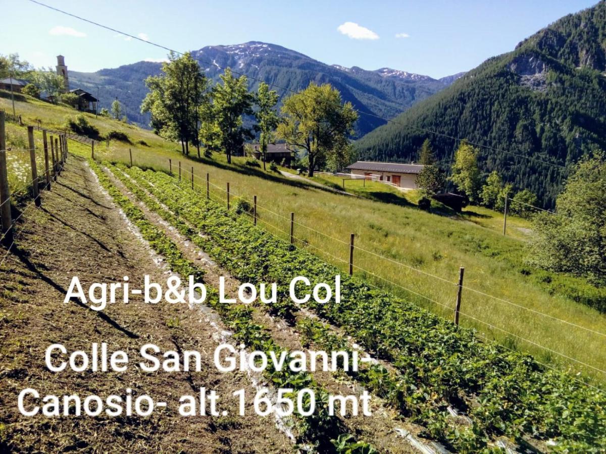 Agri-B&B Lou Col 카노시오 외부 사진