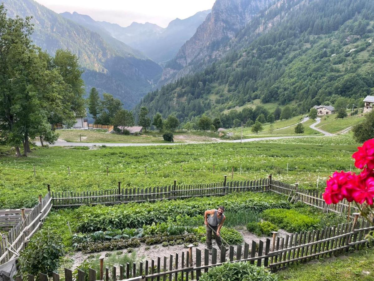 Agri-B&B Lou Col 카노시오 외부 사진