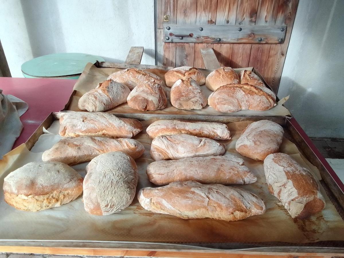 Agri-B&B Lou Col 카노시오 외부 사진