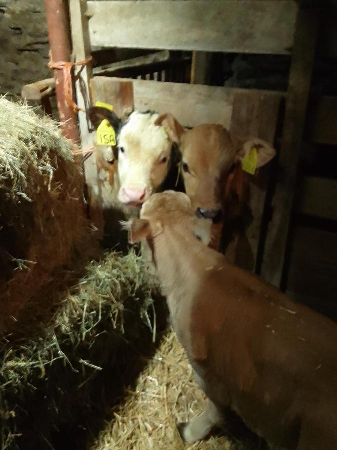 Agri-B&B Lou Col 카노시오 외부 사진